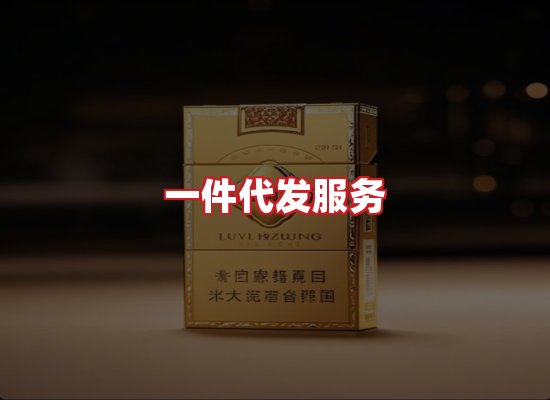 专业团队